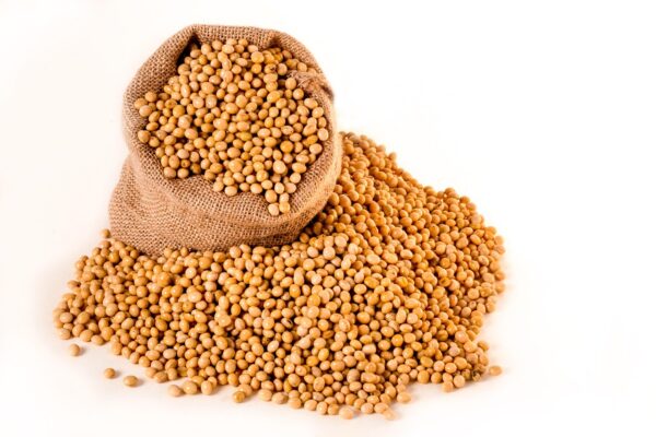 soybeans, plants, seeds, bag, burlap, grain, oil, beans, nature, soybeans, soybeans, soybeans, soybeans, soybeans